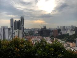 Blk 1A The Pinnacle@Duxton (Bukit Merah), HDB 4 Rooms #627904881